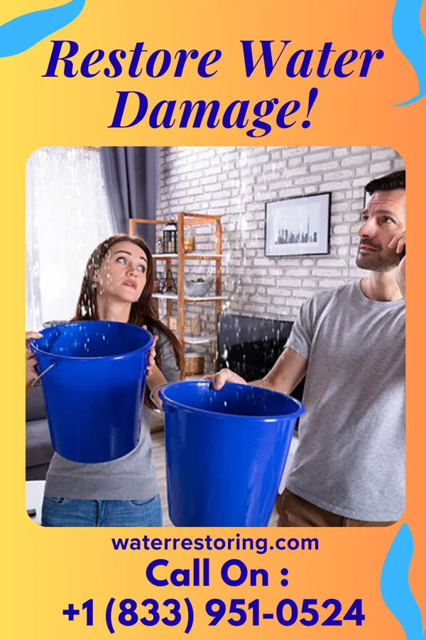 water restoration Ideal Water Works Specialists Walcott